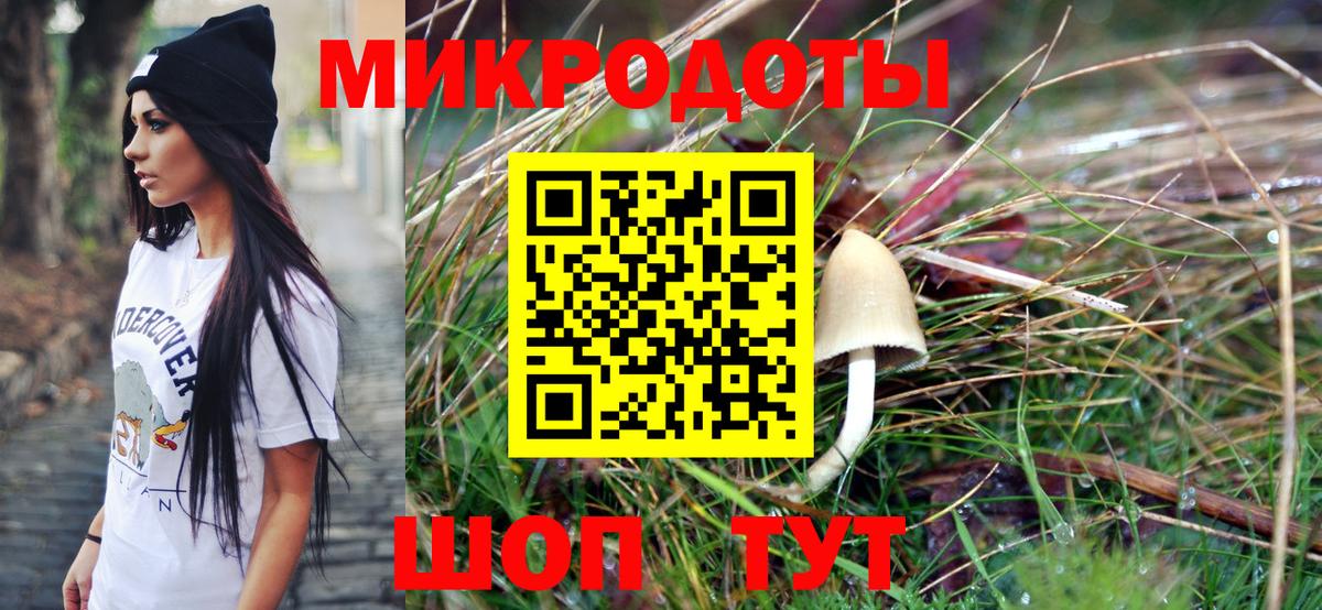 Бердск  Галлюциногенные грибы Psilocybe  Вход с VPN  Галлюциногенные грибы мицелий 